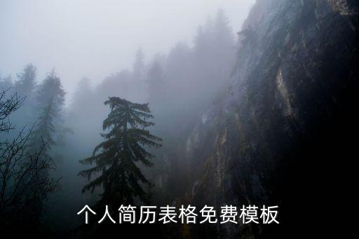 個(gè)人簡(jiǎn)歷表格免費(fèi)模板