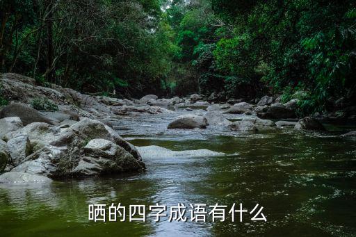 曬的四字成語有什么