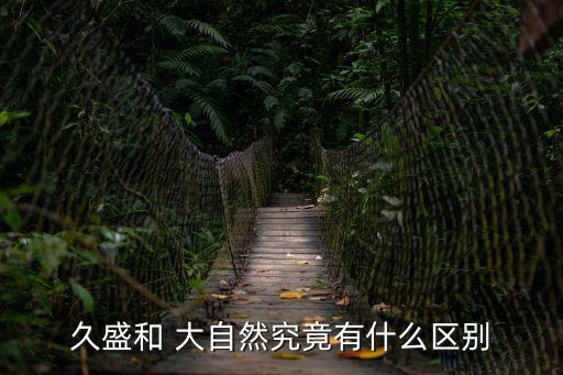 久盛和 大自然究竟有什么區別