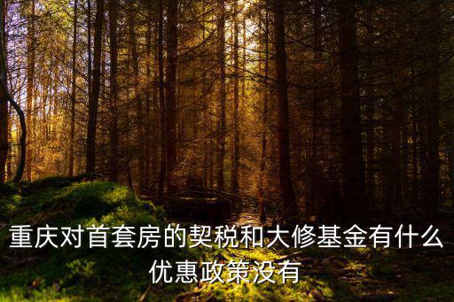 重慶對首套房的契稅和大修基金有什么優惠政策沒有