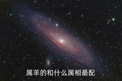 屬羊的和什么屬相最配