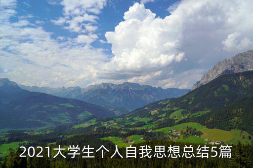 2021大學(xué)生個(gè)人自我思想總結(jié)5篇