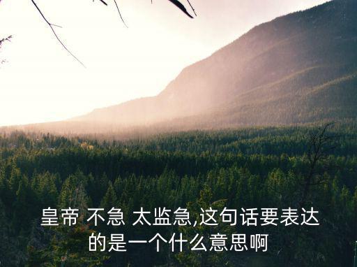  皇帝 不急 太監急,這句話要表達的是一個什么意思啊