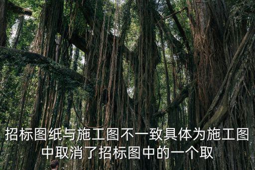 招標圖紙與施工圖不一致具體為施工圖中取消了招標圖中的一個取