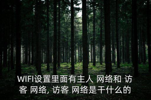 WIFI設(shè)置里面有主人 網(wǎng)絡(luò)和 訪客 網(wǎng)絡(luò), 訪客 網(wǎng)絡(luò)是干什么的