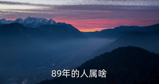 89屬什么，89年的人屬啥