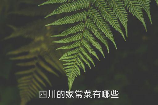 四川的家常菜有哪些