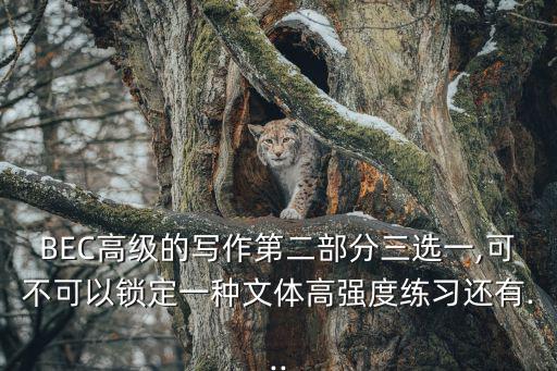 BEC高級的寫作第二部分三選一,可不可以鎖定一種文體高強度練習還有...