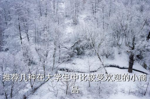 推薦幾種在大學生中比較受歡迎的小商品