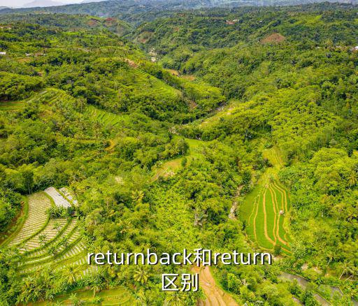 returnback和return區別