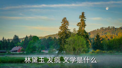 林黛玉 發(fā)瘋 文學是什么