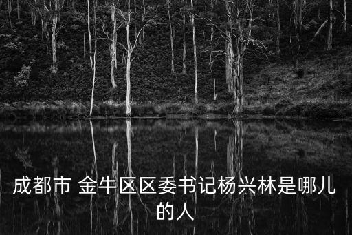 成都市金牛區人大副主任是誰，成都金牛區老大叫什么