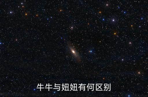 妞妞和牛牛，牛牛與妞妞有何區(qū)別
