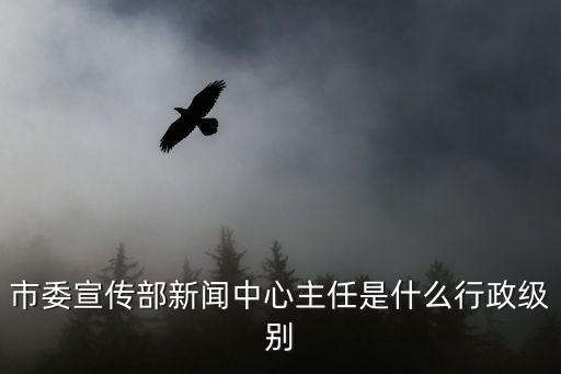 市委宣傳部新聞中心主任是什么行政級別