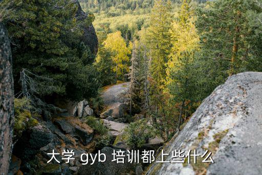大學 gyb 培訓都上些什么