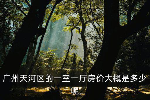 廣州天河最新房價，廣州天河區的一室一廳房價大概是多少呢