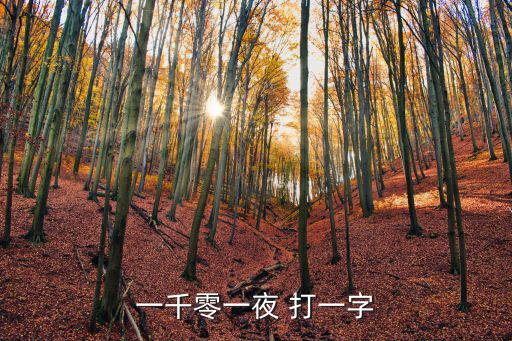 一千零一夜打一字，一千零一夜 打一字