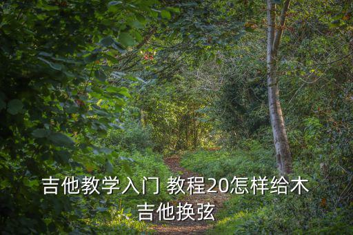  吉他教學(xué)入門 教程20怎樣給木 吉他換弦