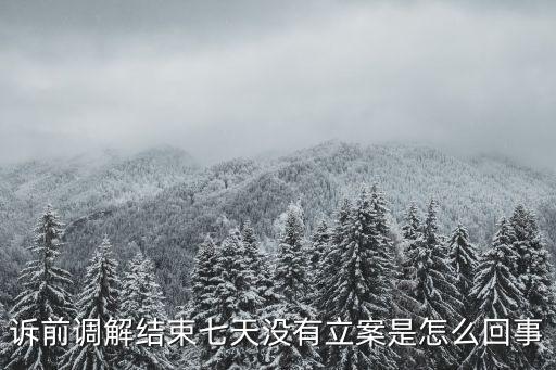 訴前調(diào)解結(jié)束七天沒有立案是怎么回事