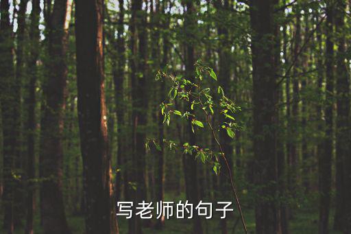 寫老師的句子