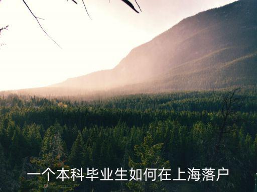 一個(gè)本科畢業(yè)生如何在上海落戶