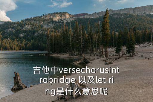 吉他中versechorusintrobridge 以及let ring是什么意思呢