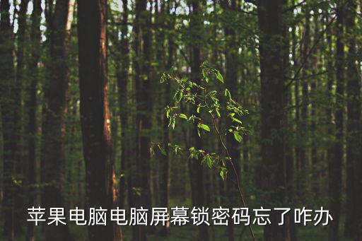 蘋果電腦電腦屏幕鎖密碼忘了咋辦
