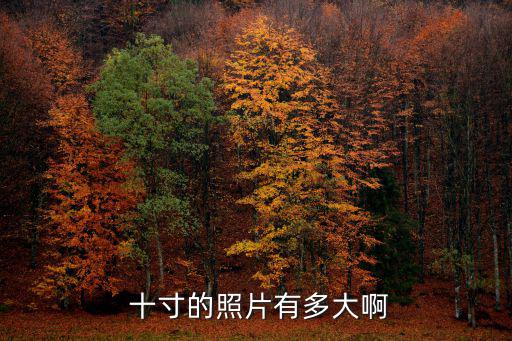 十寸有多大,10英寸蛋糕長約a4紙長邊短一點