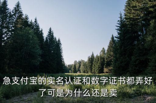 急支付寶的實名認證和數(shù)字證書都弄好了可是為什么還是賣