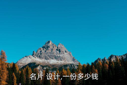  名片 設(shè)計,一份多少錢
