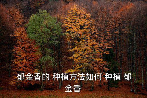 郁金香種植方法與技巧,郁金香種子球從何處來(lái)?