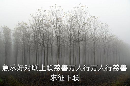 急求好對聯(lián)上聯(lián)慈善萬人行萬人行慈善求征下聯(lián)