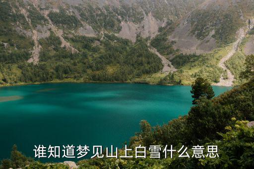 夢見爬雪山，夢見雪山什么意思