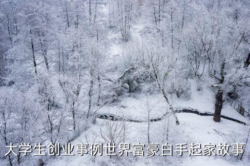 大學生創業故事，簡述一個大學生的創業經歷
