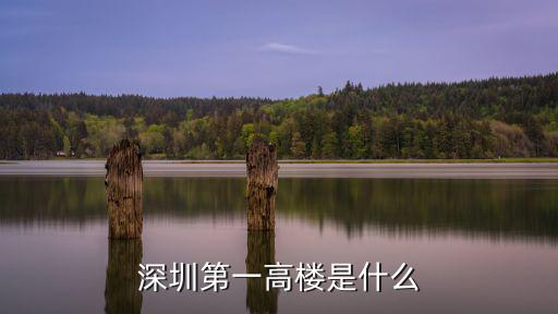 深圳第一高樓是什么