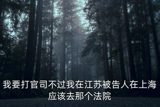我要打官司不過我在江蘇被告人在上海應該去那個法院