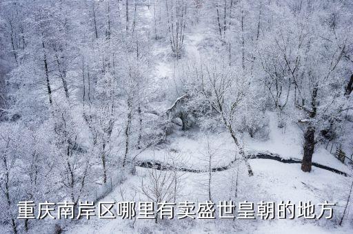 重慶南岸區(qū)哪里有賣盛世皇朝的地方