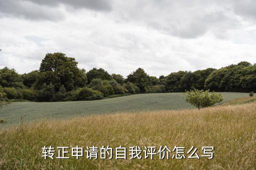 轉正申請的自我評價怎么寫
