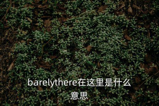 barelythere在這里是什么意思