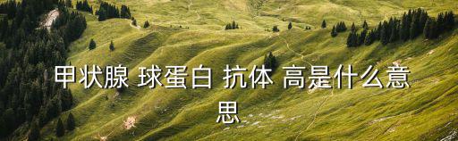 甲狀腺 球蛋白 抗體 高是什么意思