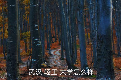  武漢 輕工 大學怎么樣