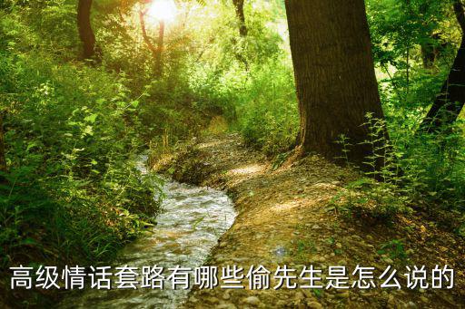 高級情話套路有哪些偷先生是怎么說的