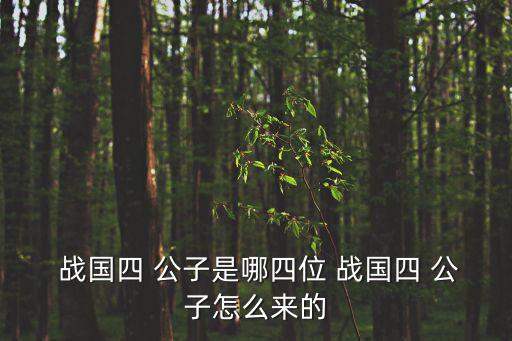 戰國四大公子,戰國4公子指魏無忌和趙聲、黃歇和田文