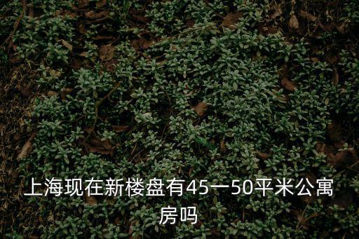 上海現(xiàn)在新樓盤有45一50平米公寓房嗎