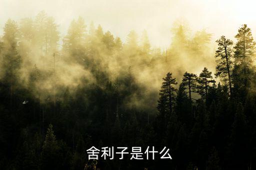  舍利子是什么