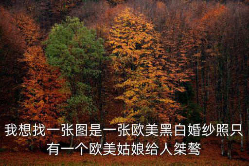 歐美藝術照，我想找一張圖是一張歐美黑白婚紗照只有一個歐美姑娘給人桀驁