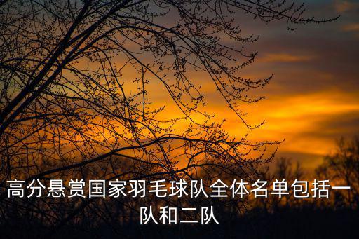 高分懸賞國家羽毛球隊全體名單包括一隊和二隊