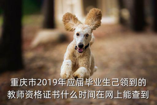 重慶市2019年應(yīng)屆畢業(yè)生己領(lǐng)到的教師資格證書什么時(shí)間在網(wǎng)上能查到