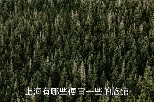 上海有哪些便宜一些的旅館