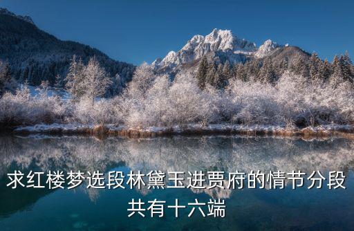 求紅樓夢選段林黛玉進賈府的情節分段共有十六端